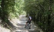 First part of the road to the <i>Lame Rosse</i>... would get worse very fast