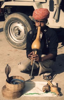 Jaipur picture by Carolina Mendonça on Flickr.com