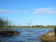 A beautiful (and extremely cold) river near Galway