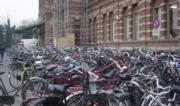 Dutch people sure love bikes