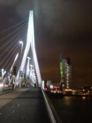 rotterdam_07.jpg