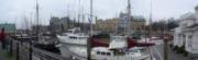 rotterdam_08.jpg