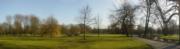 The park