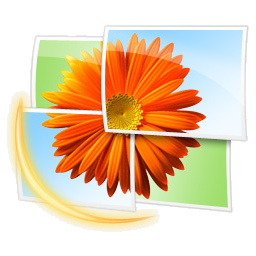 Microsoft Live Photo Gallery logo
