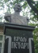 King Petar I