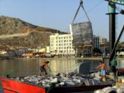 Fish transport