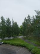 Sight from my room